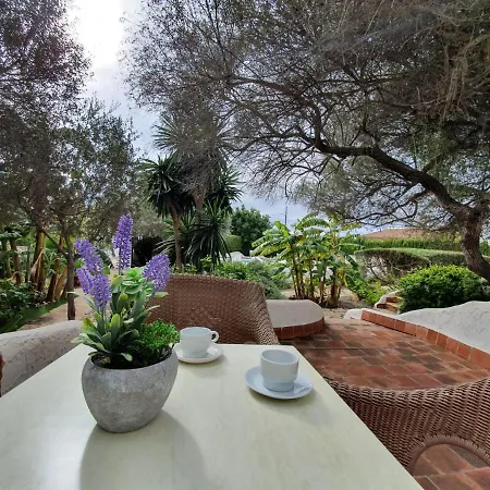 Hibiscus Apartment